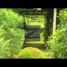 L’histoire d’un jardin… L’histoire d’un jardin…