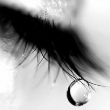 Ton rêve s’est realisé Ton rêve s’est realisé